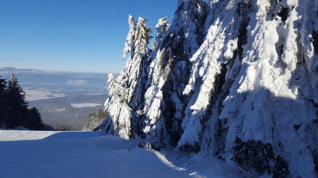 Ferienwohnung Am Kirchberg Achslach Екстериор снимка